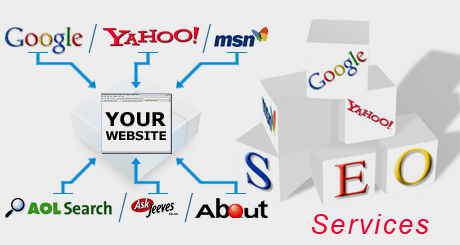 Our Portfolio